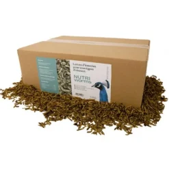 Larves d'insectes pour oiseaux et volailles Nutriworms 3kg