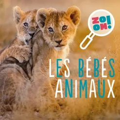 Les bébés animaux