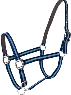 Licol doublé cuir poney navy ciel PASSIONAL