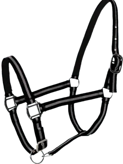 Licol doublé cuir poney noir gris PASSIONAL