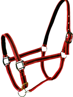 Licol doublé cuir poney rouge noir PASSIONAL