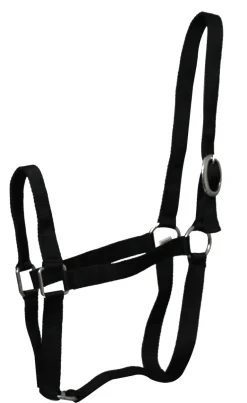 Licol Eco nylon Noir Poney