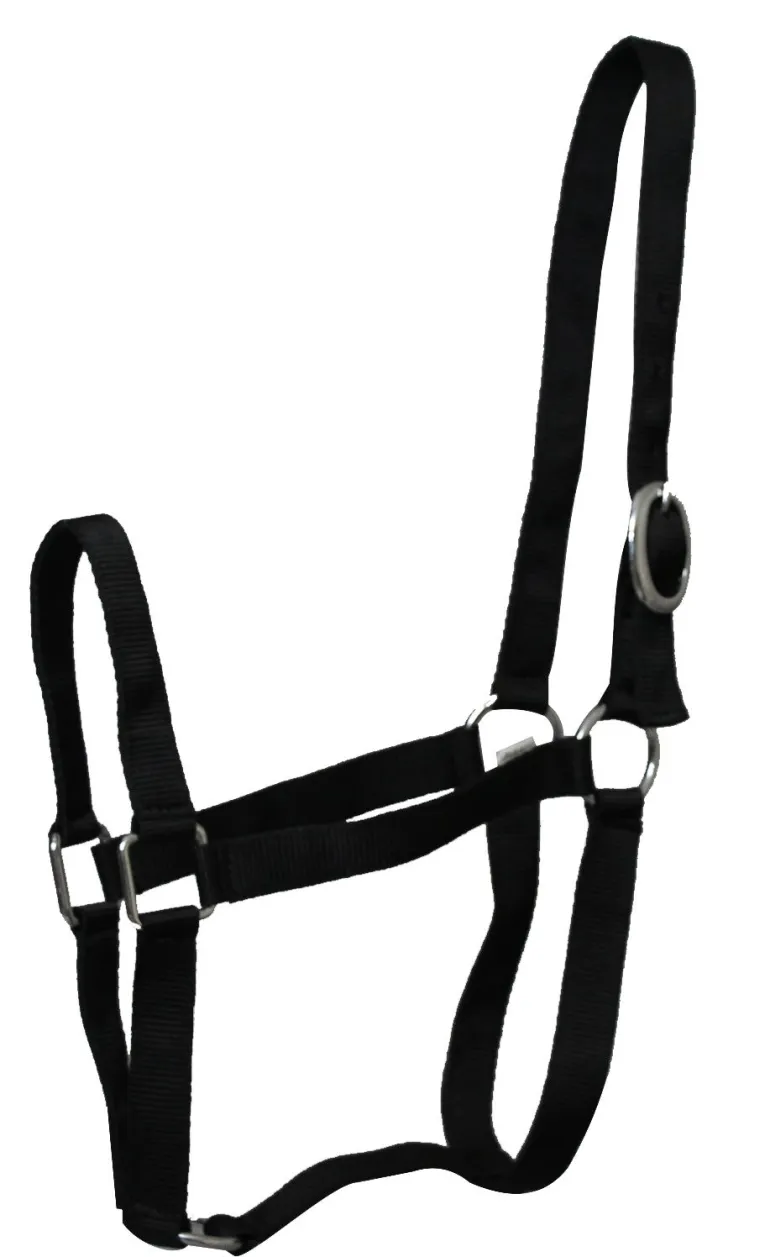 Licol Eco nylon Noir Poney