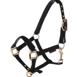 Licol poulain TopLine noir