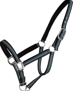 Licol reflect double poney bleu PASSIONAL