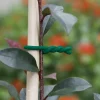 Lien mousse pour plantes avec fil de fer BIFLEX NORTENE