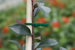 Lien mousse pour plantes avec fil de fer BIFLEX NORTENE