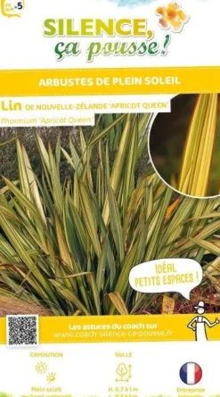 Lin de Nouvelle-Zélande "Apricot Queen" Pot 4.5L