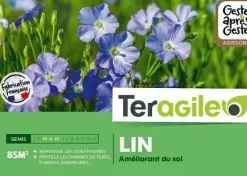 Lin TERAGILE