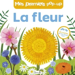 Livre pop-up La Fleur