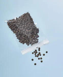 Lot de 10 sachets d'emballage avec curseur 15x10 cm