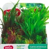 Lot de 6 plantes Plantkit medium n°3 ZOLUX
