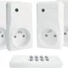 Lot de 4 prises télécommandées avec télécommande