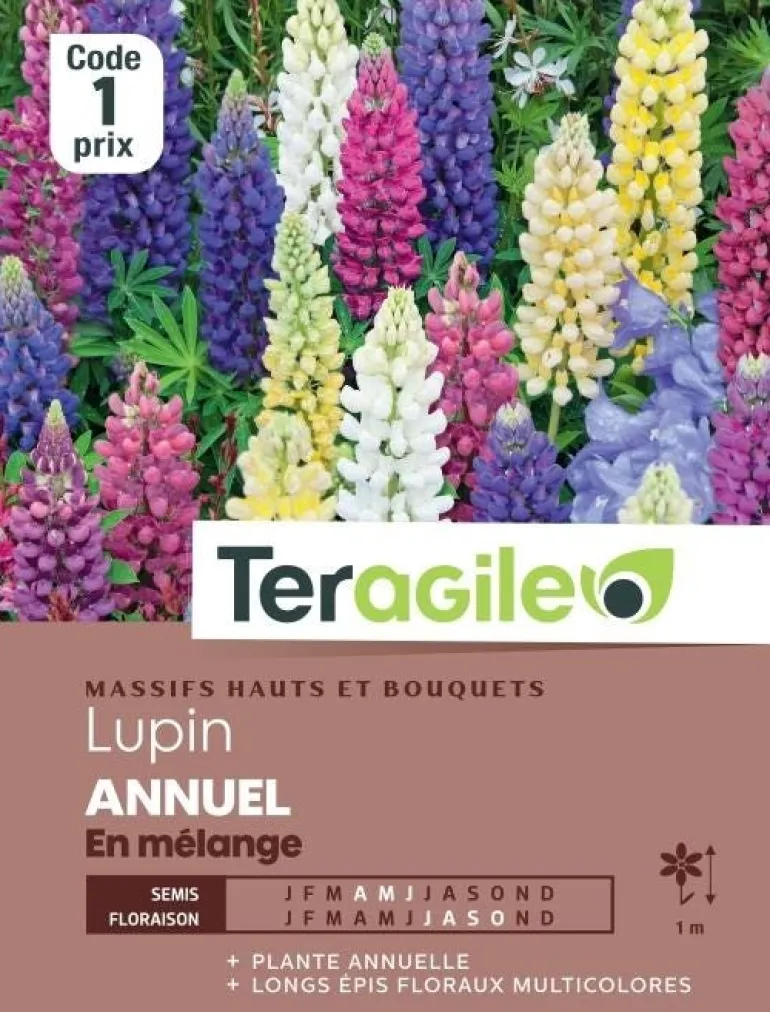 Lupin Annuel En mélange 3g TERAGILE
