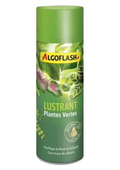 Lustrant Plantes Vertes 250 mL