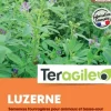 Luzerne 1kg