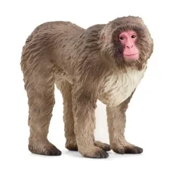 Macaque japonais 14871 SCHLEICH