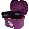 Malle de pansage Box color violet