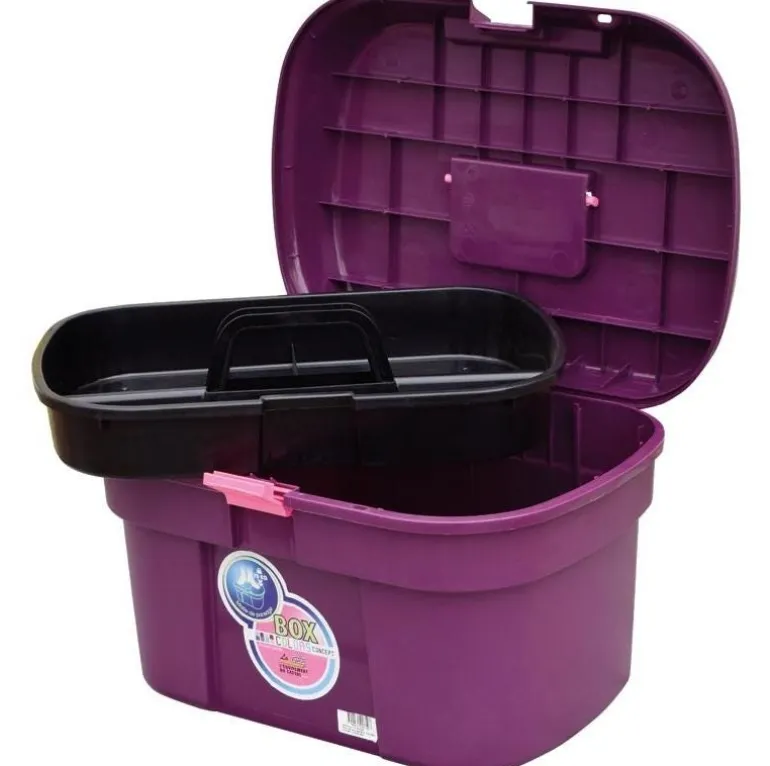 Malle de pansage Box color violet