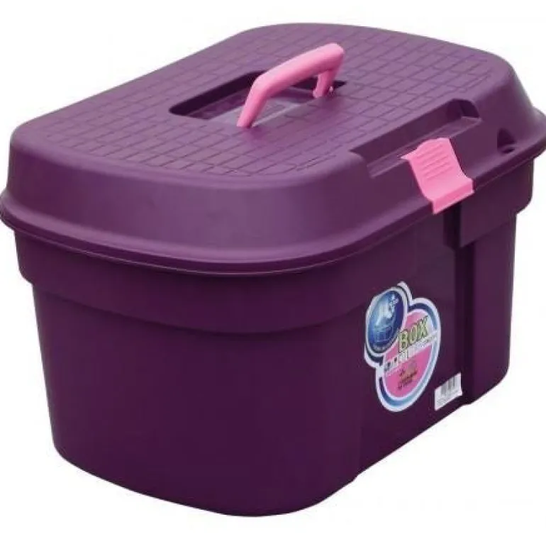 Malle de pansage Box color violet