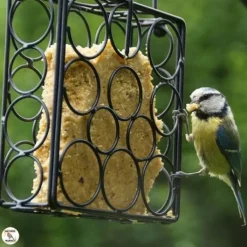 Mangeoire "Bulle" en métal pour repas de graisse végétale