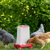 Mangeoire à pieds pour volailles rouge/blanc 3,5L KERBL