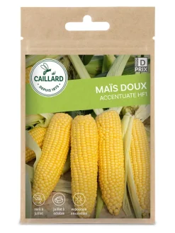 Maïs Doux Accentuate Hf1 7g CAILLARD