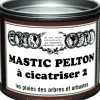 Mastic à cicatriser 195g PELTON