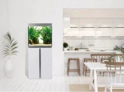Meuble blanc pour aquarium 160L FLUVAL SIENA (produit seul)