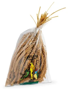 Millet grappe pour oiseaux - Sac de 1 kg