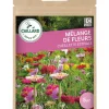 Mélange de Fleurs Cueillette Estivale 7,5g CAILLARD