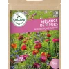 Mélange de Fleurs hautes pour Massifs 7,5g CAILLARD