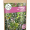 Mélange de Fleurs Mellifères 30g CAILLARD