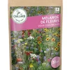 Mélange de Fleurs pour Coccinelles 30g CAILLARD