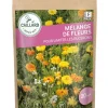 Mélange de Fleurs pour limiter les Pucerons 25g CAILLARD