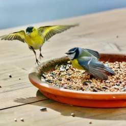 Mélange de graines pour Oiseaux de la nature - Sac de 1 kg