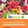 Mélange de variétés de Radis multicolores 8g TERAGILE