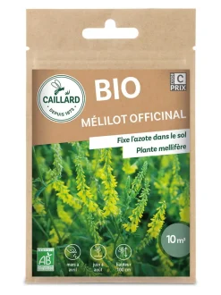 Mélilot Officinal fixe l'Azote dans le sol 4g Bio CAILLARD