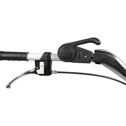 Motofaucheuse BT145S CH270 STAUB