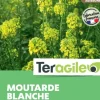Moutarde blanche 1kg