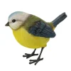 Mésange bleue