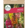 Muflier Majestic Varié 0,80g CAILLARD