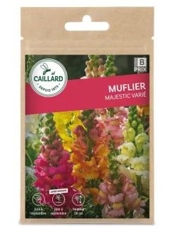 Muflier Majestic Varié 0,80g CAILLARD