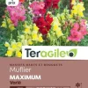 Muflier Maximum Varié 0,8g TERAGILE