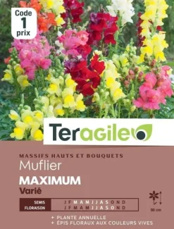 Muflier Maximum Varié 0,8g TERAGILE