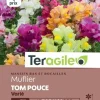 Muflier Tom Pouce Varié 0,8g TERAGILE