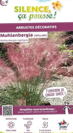 Muhlenbergia "Capillaris" Pot 5L SILENCE ÇA POUSSE