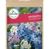 Myosotis des Alpes varié 1g CAILLARD