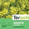 Navette Jupiter 500g