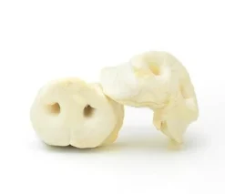 Nez de porc pour chien - Vendu à la pièce BUBIMEX